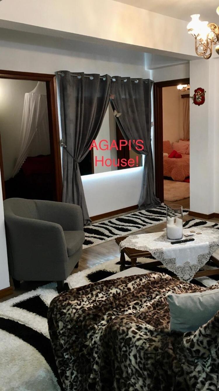 Appartement Agapi'S House à Metsovo Extérieur photo