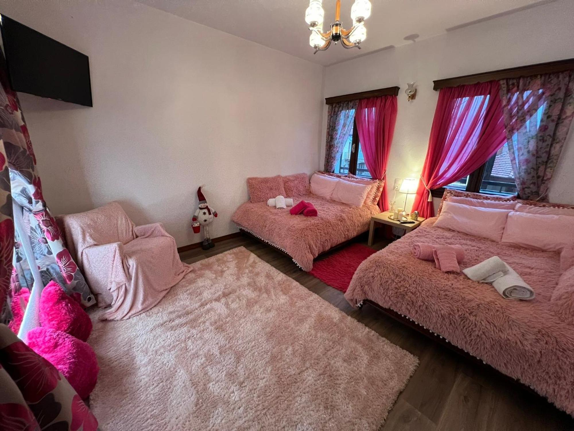 Appartement Agapi'S House à Metsovo Extérieur photo